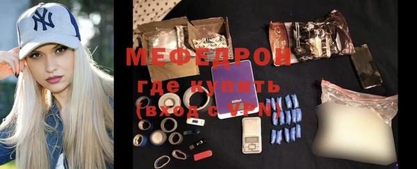 индика Ладушкин