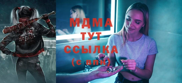 индика Ладушкин