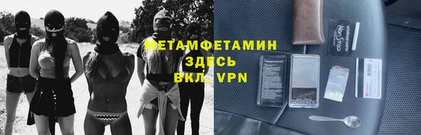 индика Ладушкин