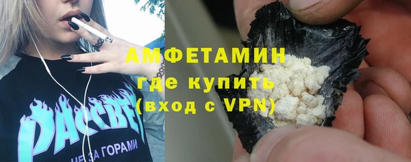 индика Ладушкин