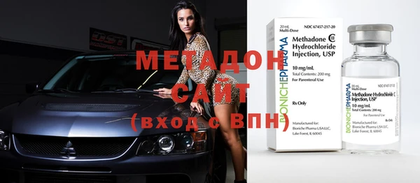 индика Ладушкин