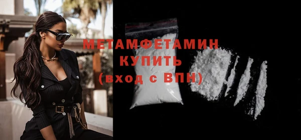 индика Ладушкин