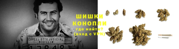 индика Ладушкин