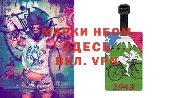 индика Ладушкин