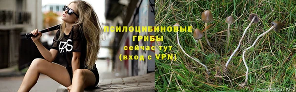 индика Ладушкин