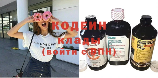 индика Ладушкин