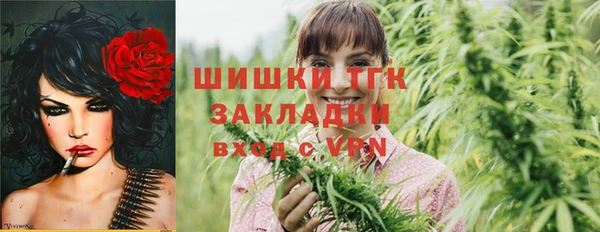индика Ладушкин