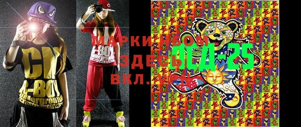 индика Ладушкин