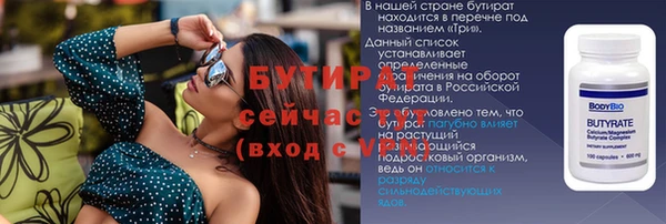 индика Ладушкин