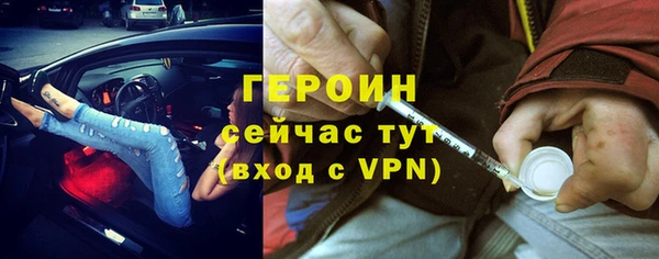 индика Ладушкин