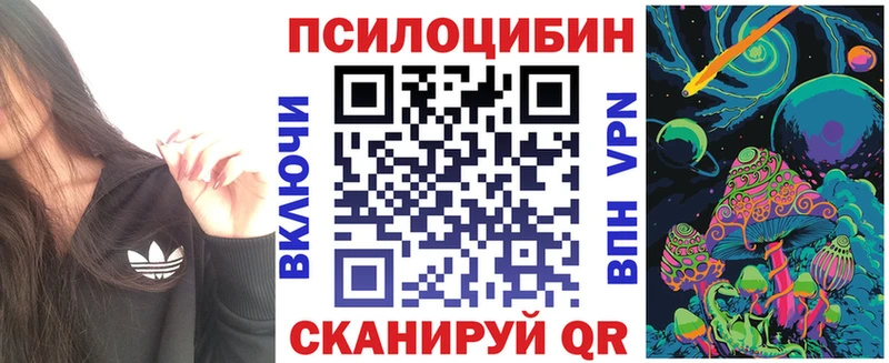 Купить где  Льгов  Псилоцибиновые грибы Magic Shrooms 